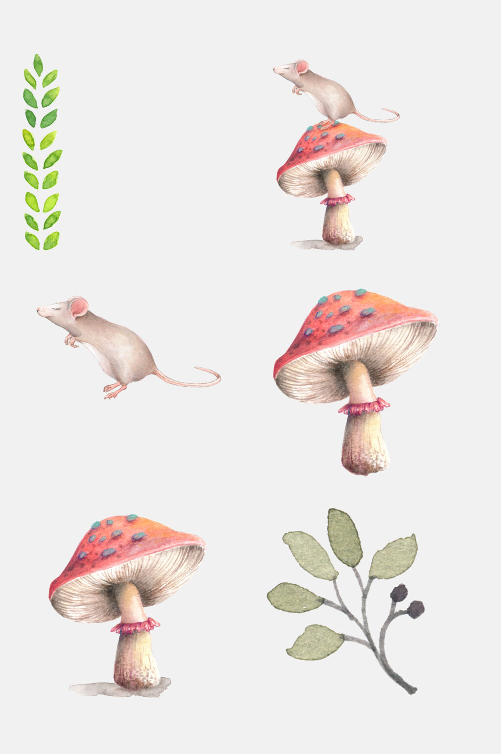 水彩蘑菇植物婚礼请柬免抠素材素材