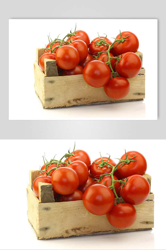 生态有机西红柿摄影元素图片
