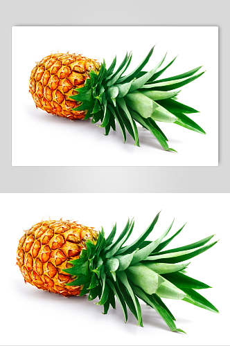 全生态菠萝图片