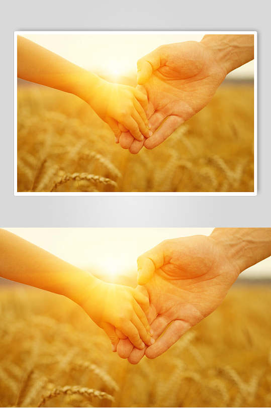 暑期夏令营小手牵大手宣传海报大手牵小手乐在其中首页感恩节大手牵小