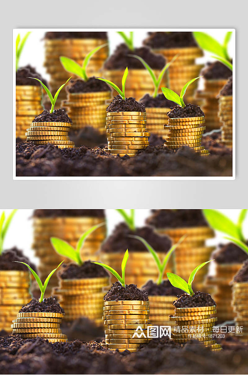 绿色植物金融金币图片素材