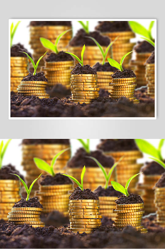 绿色植物金融金币图片