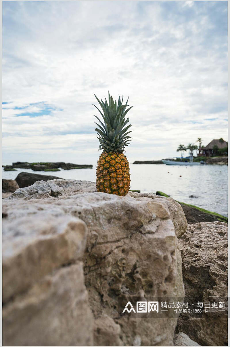 全生态菠萝摄影元素图片素材