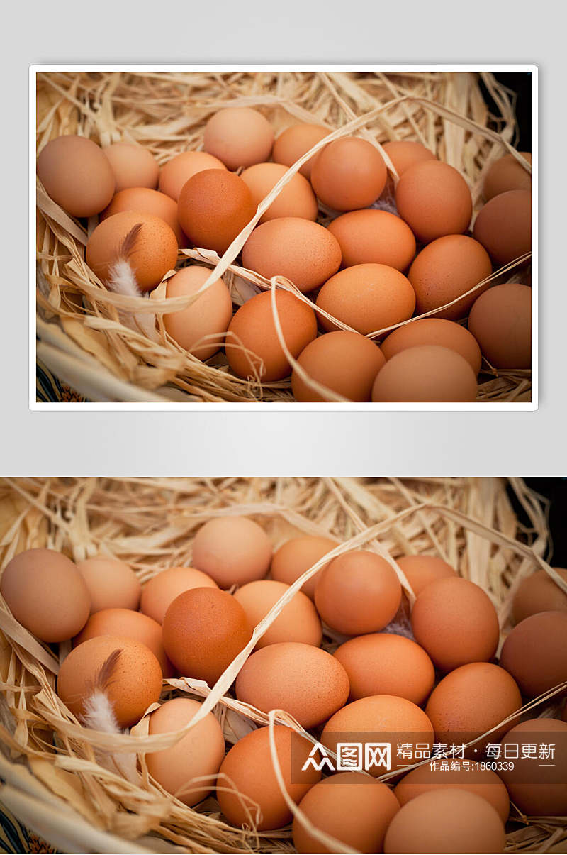新鲜农机土鸡蛋图片素材