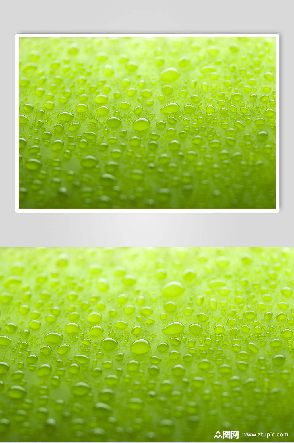 清新透明水珠雨滴摄影背景图片