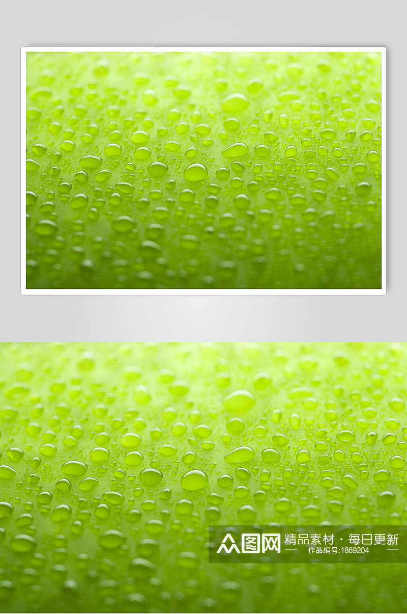 清新透明水珠雨滴摄影背景图片素材