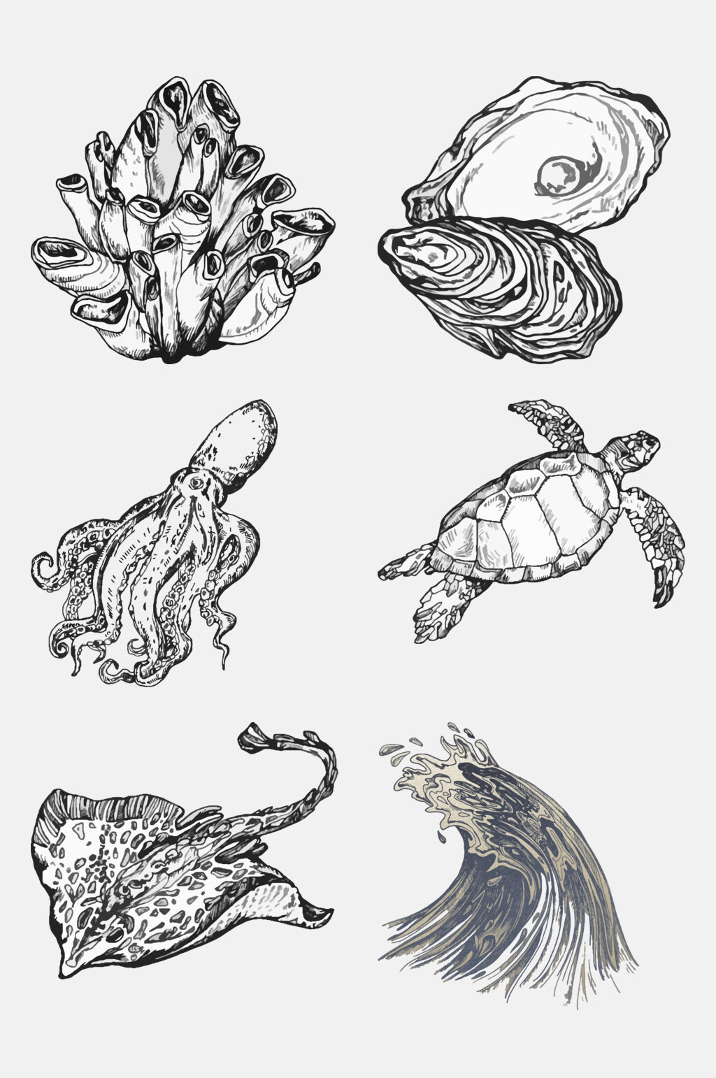 素描魔鬼鱼海洋生物手绘元素素材