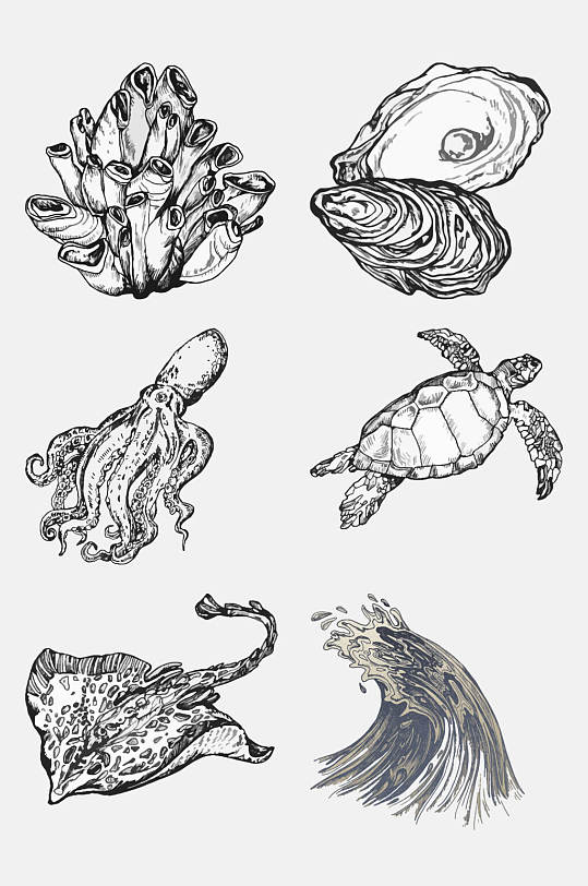 素描魔鬼鱼海洋生物手绘元素素材