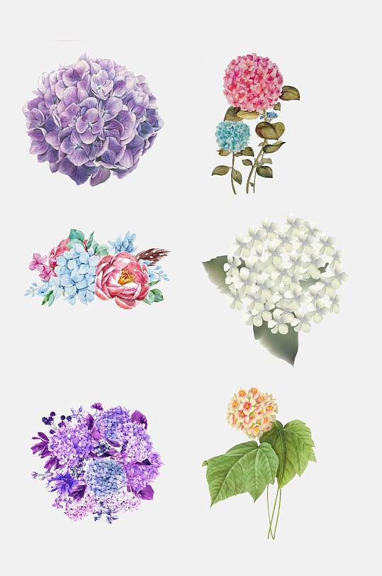 手绘画绣球花卉花朵免抠元素素材