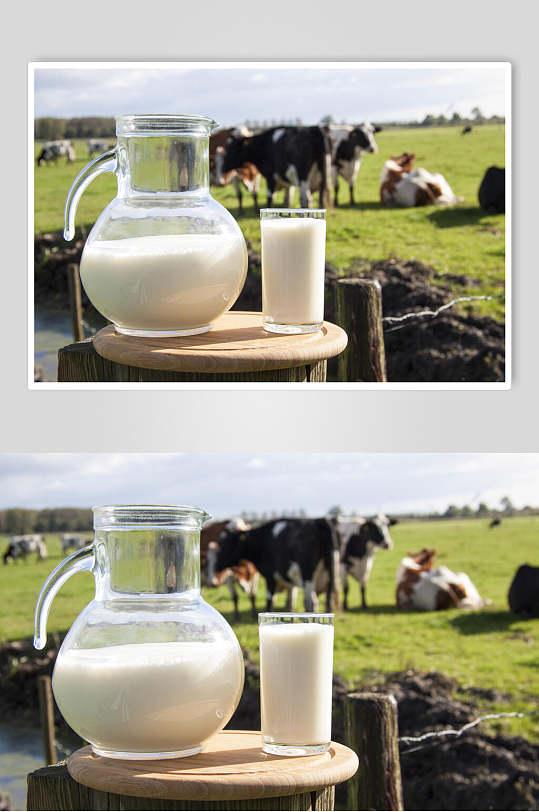 新鲜牛奶实用图片