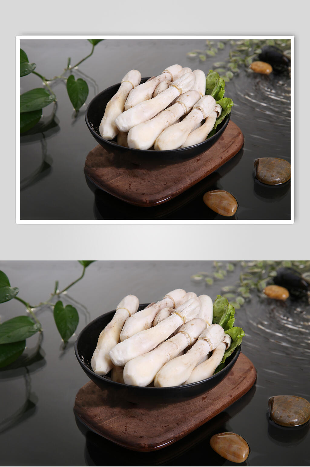 新鲜健康菌菇美食图片素材