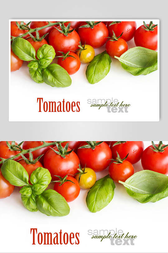 蔬果西红柿摄影图片