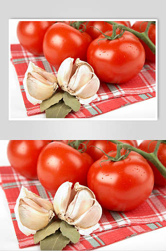 成熟西红柿摄影图片