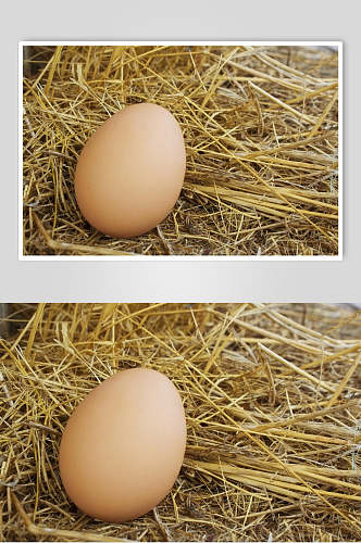新鲜农机土鸡蛋插画图片
