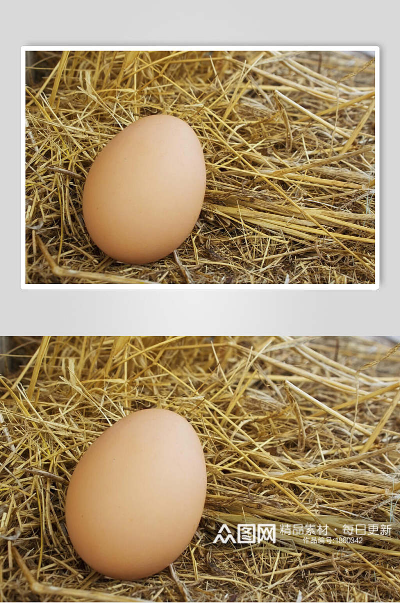 新鲜农机土鸡蛋插画图片素材
