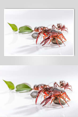 红红火火小龙虾摄影图片