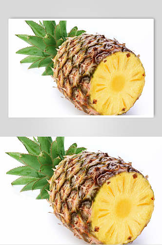 全生态菠萝摄影元素图片