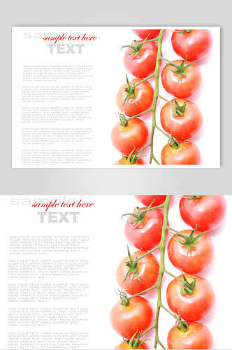 西红柿蔬菜美食图片