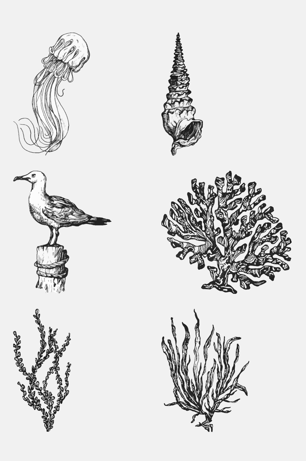 素海藻鸟海洋生物手绘元素素材素材