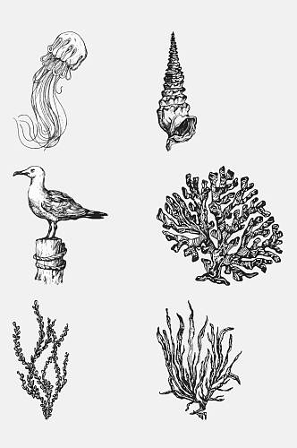 素海藻鸟海洋生物手绘元素素材