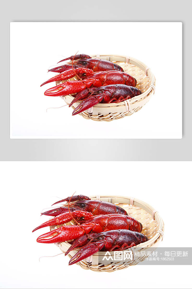 红极一时小龙虾图片素材