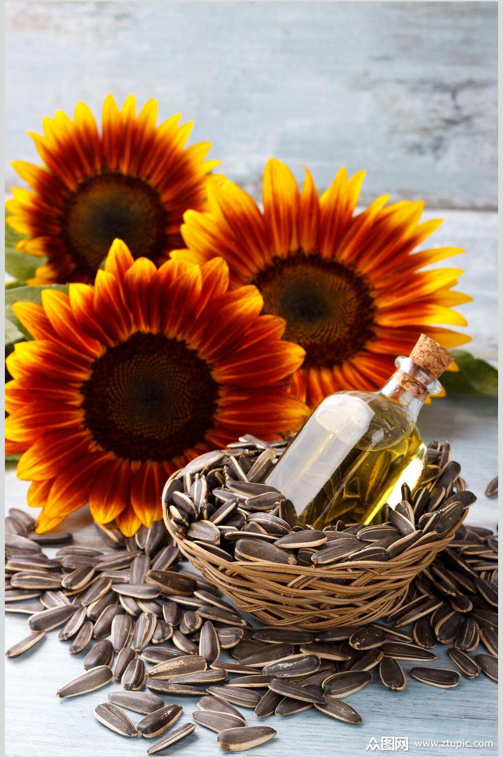 美味瓜子摄影素材图片