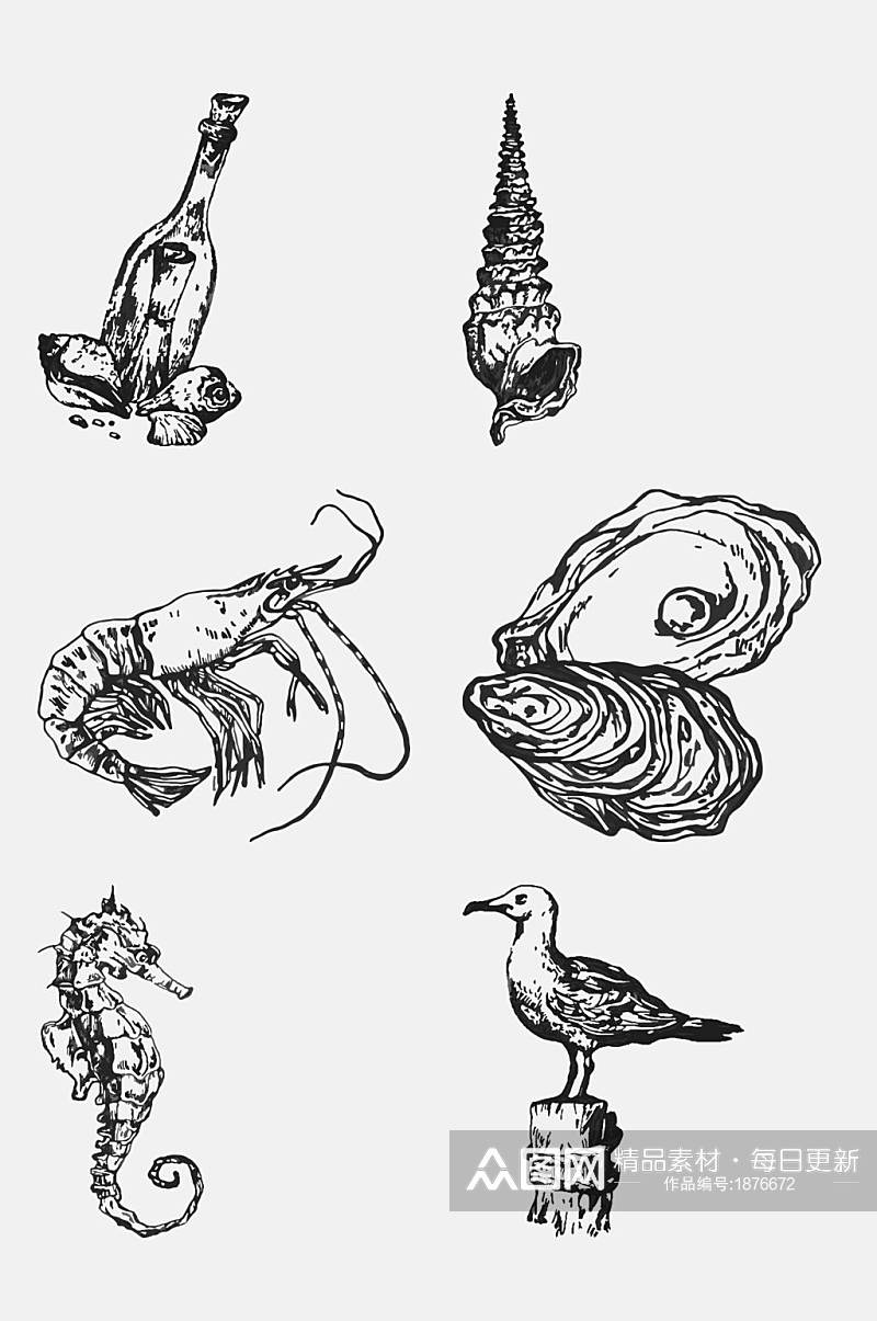 素描海马鸟虾海洋生物手绘元素素材素材