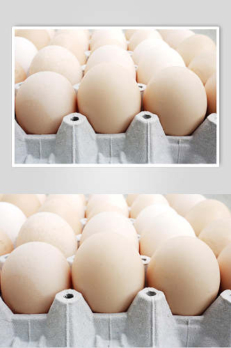 农机土鸡蛋元素图片