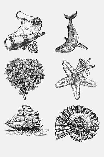 素描海螺海星海洋生物手绘元素素材