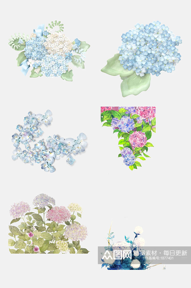 彩色绣球花卉花朵免抠元素素材素材