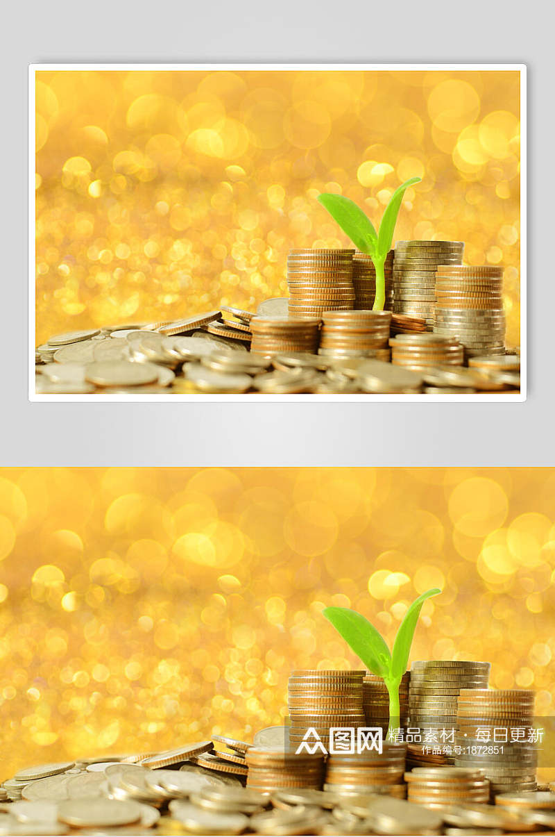 投资金融金币摄影素材图片素材