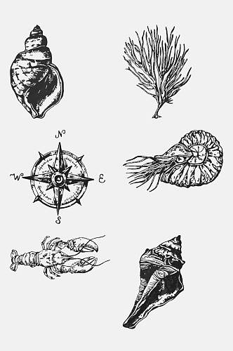 素描罗盘海螺海洋生物手绘元素素材