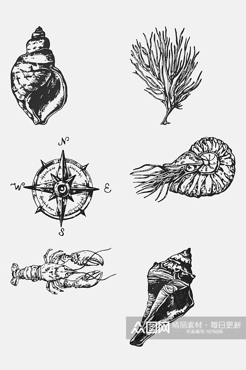 素描罗盘海螺海洋生物手绘元素素材素材
