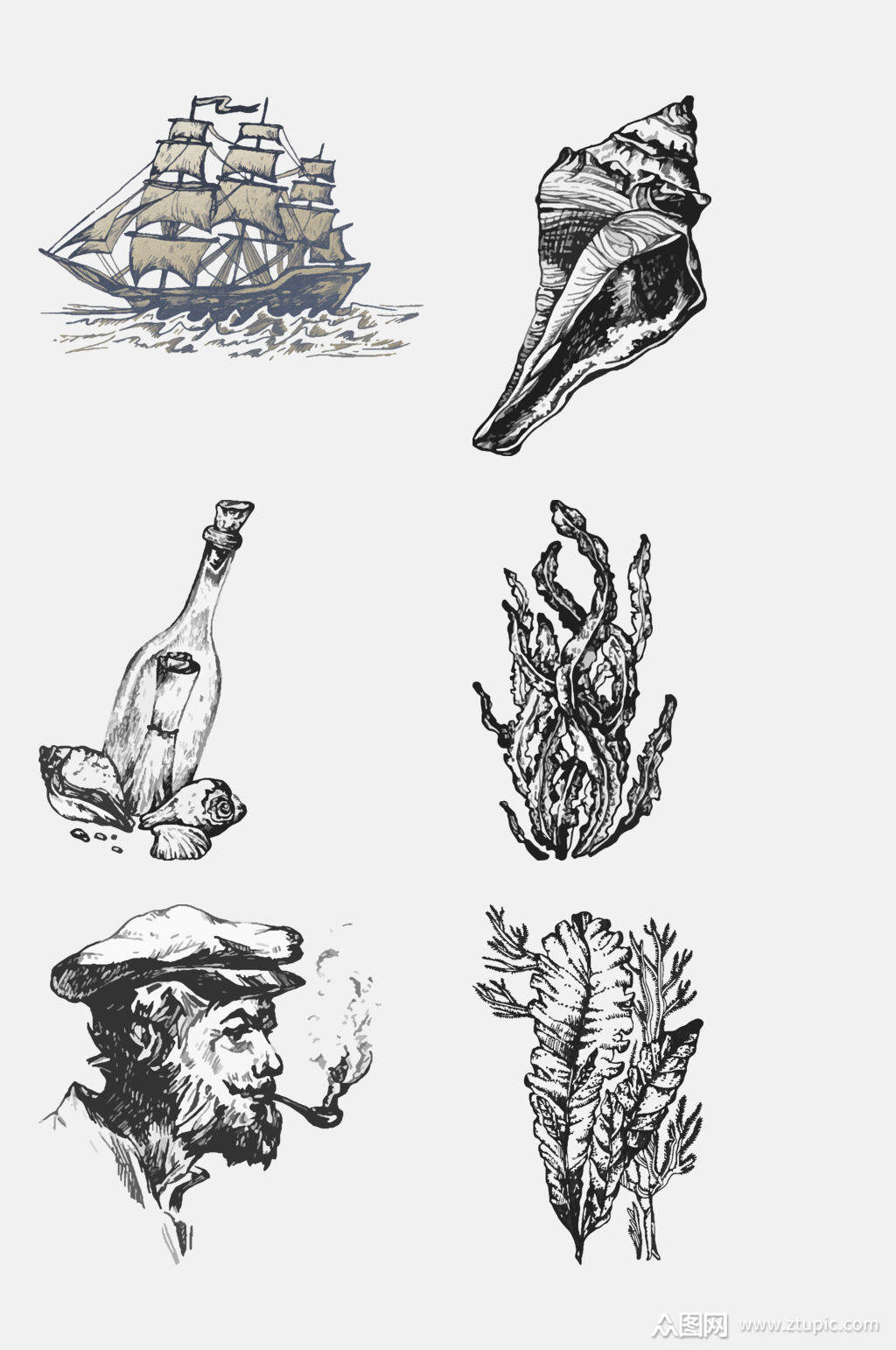 素描海带海洋生物手绘元素素材