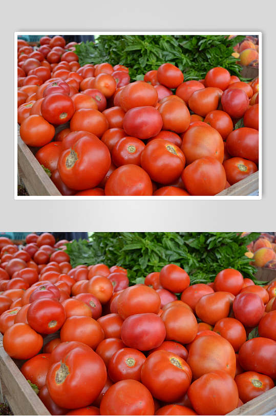 高清西红柿摄影背景图片