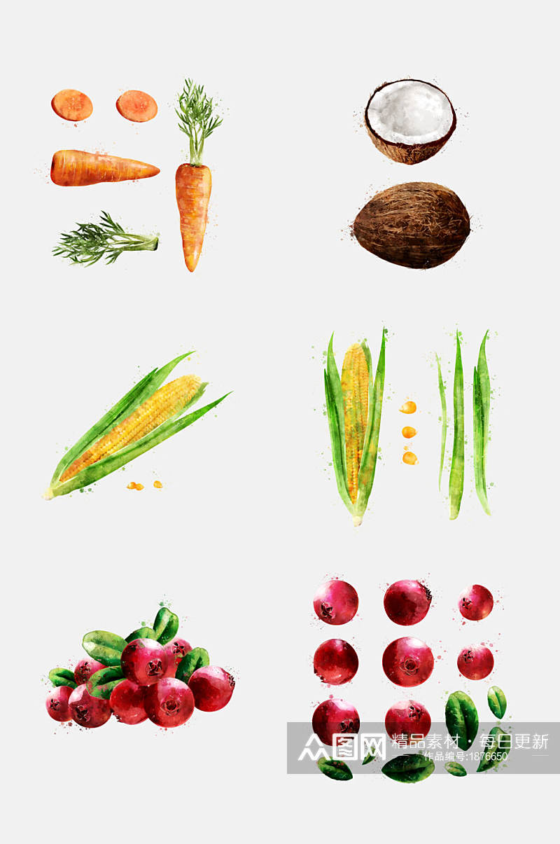 胡萝卜玉米蔬菜水果手绘水彩免抠元素素材素材