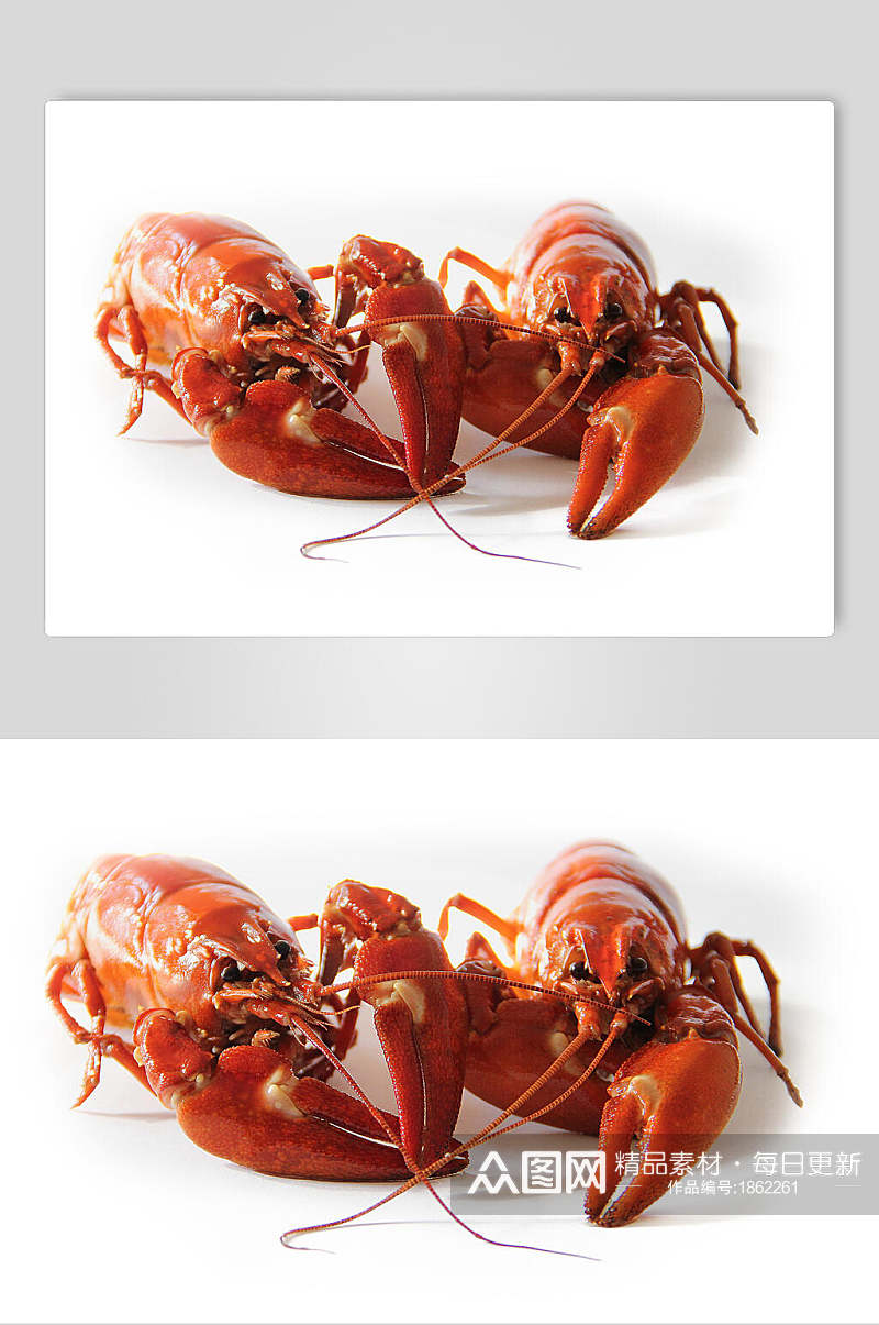 蒜蓉小龙虾摄影元素图片素材