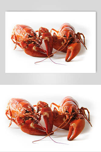 蒜蓉小龙虾摄影元素图片