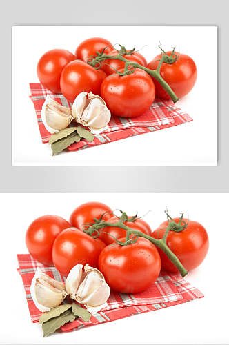 成熟西红柿摄影图片