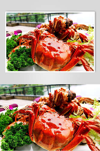美食大闸蟹摄影背景图片