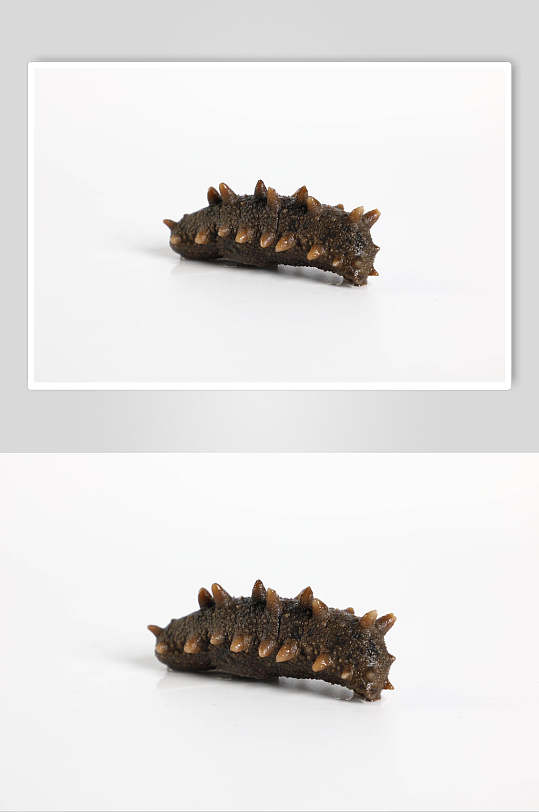 海参背景图片-海参背景设计素材-海参背景模板下载-众图网