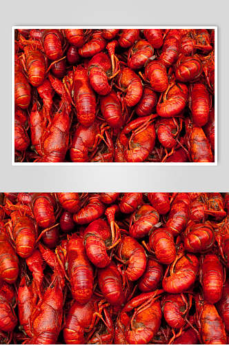 蒜蓉小龙虾摄影素材图片