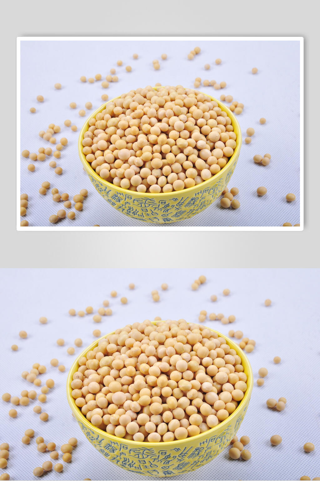 有机黄豆大豆图片素材