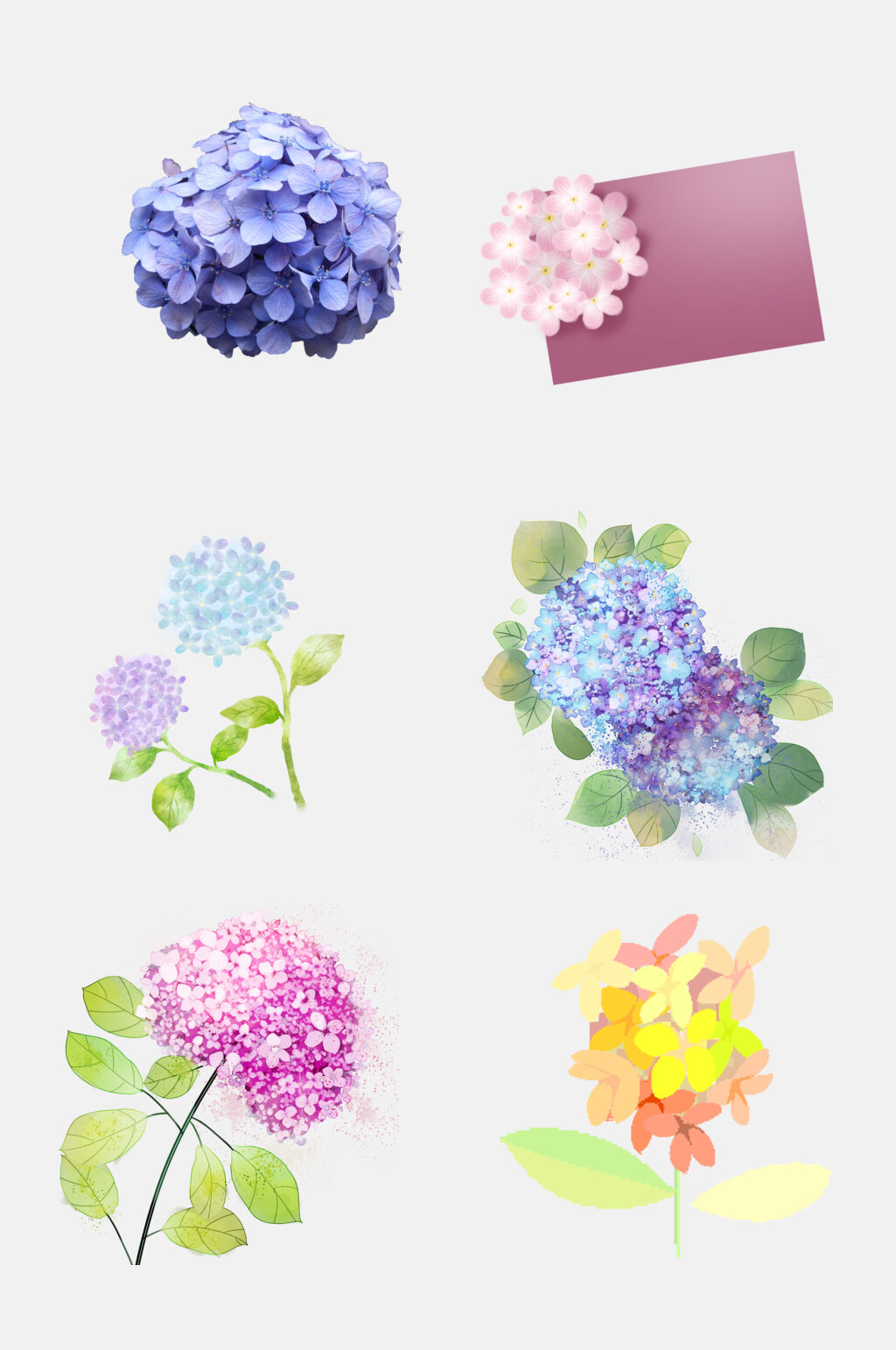 流行绣球花卉花朵免抠元素素材素材