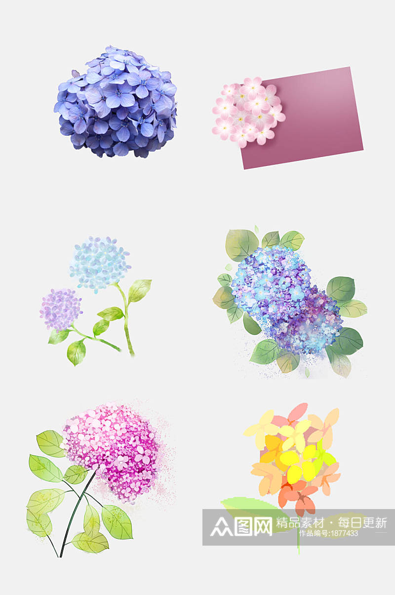 流行绣球花卉花朵免抠元素素材素材