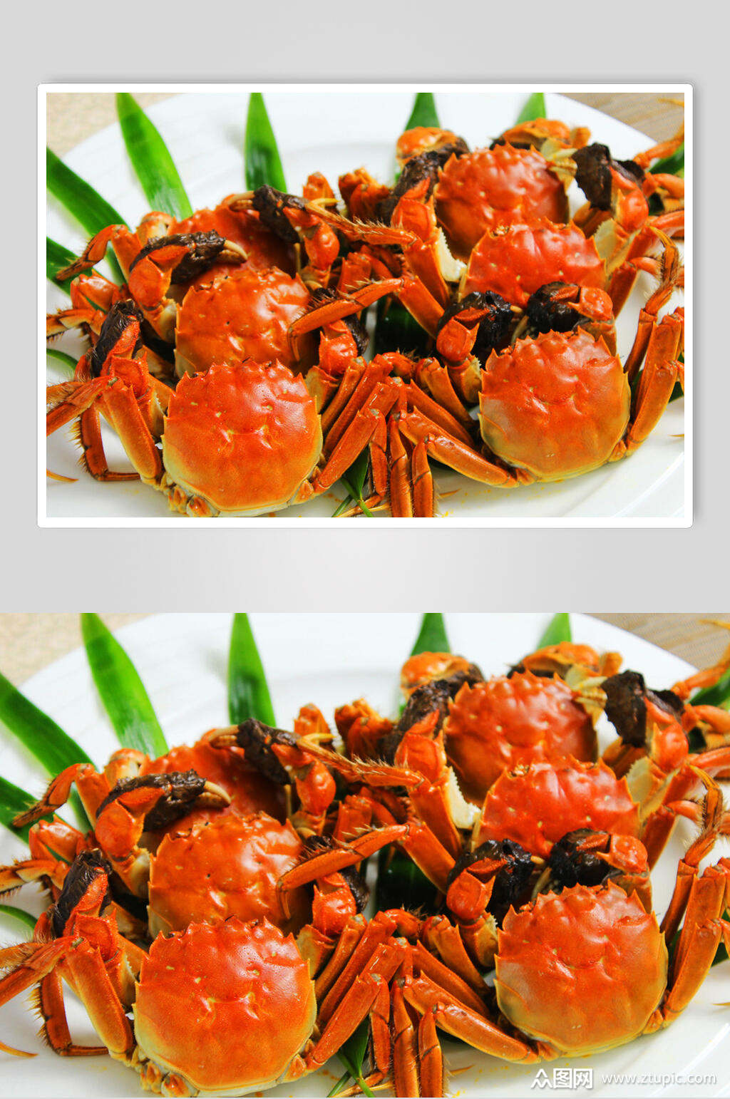 清蒸大闸蟹摄影素材图片