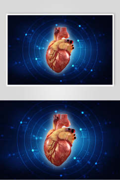 科技人体器官心脏图片