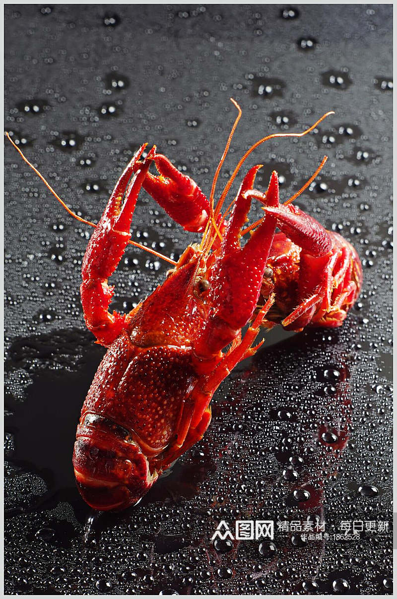 红红火火小龙虾摄影元素图片素材