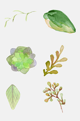 彩色手绘花卉植物免抠元素素材