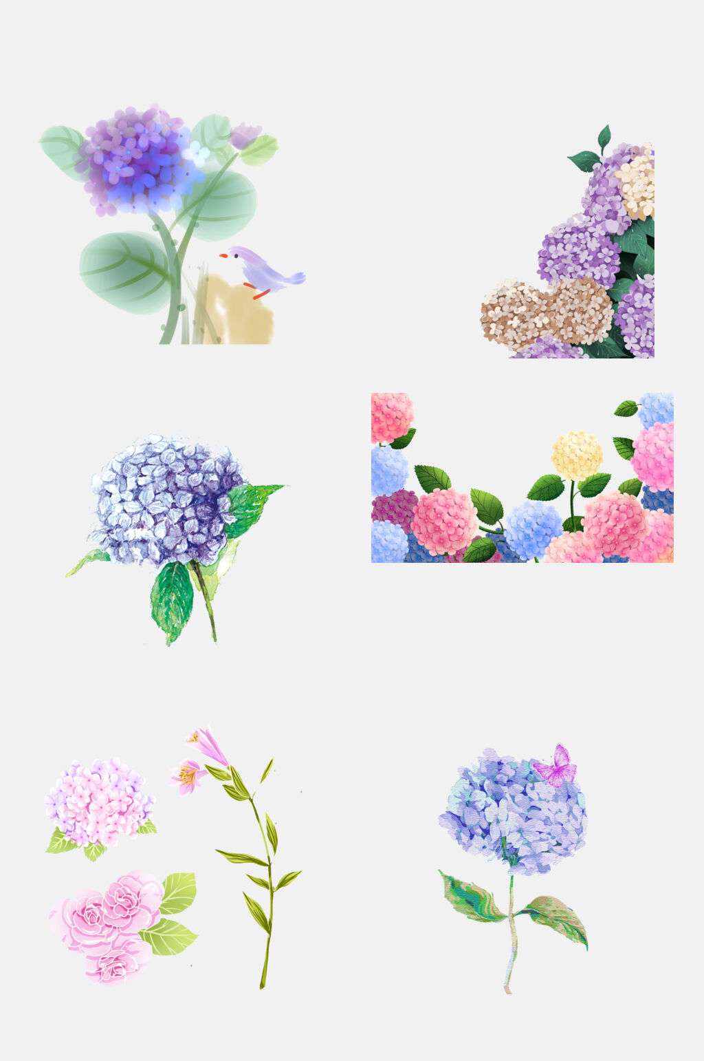 水彩绣球花卉花朵免抠元素素材素材